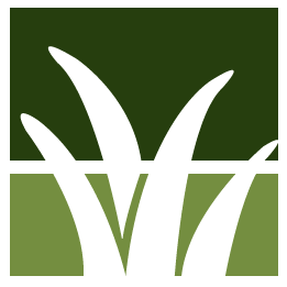 Avon Lawn Clean Up