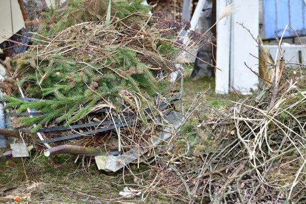Yard Debris Removal in Avon