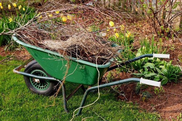 Lawn Waste Removal in Avon